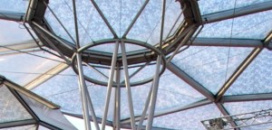 Empowering the network of social impact