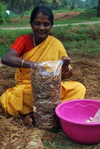 Seeding package for mushroom cultivation