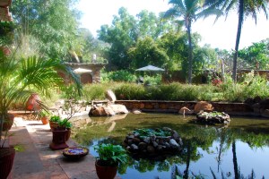  Breakfast in paradise