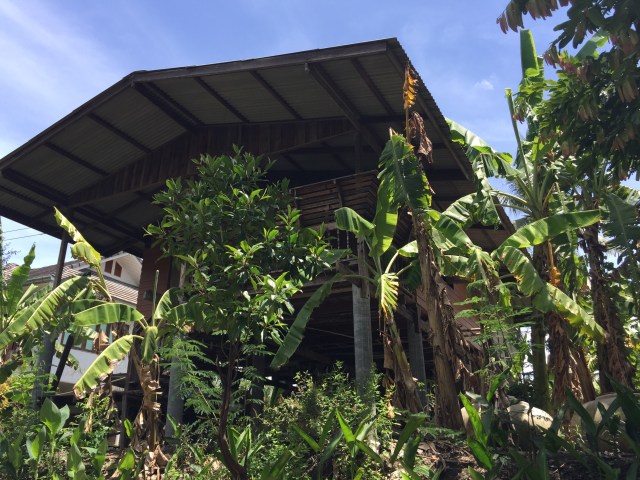 Rural areas and coconut plantages in the south of Bangkok