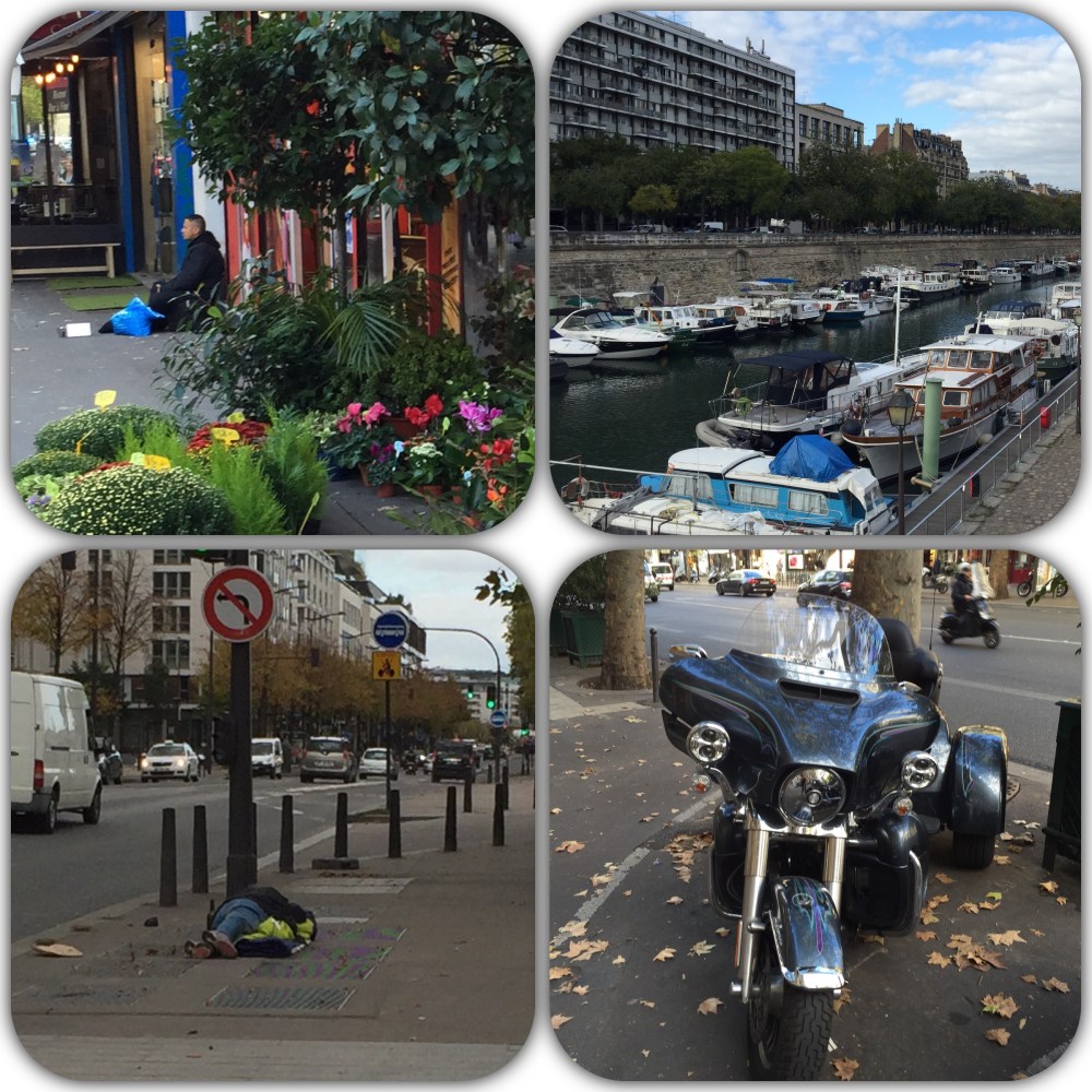 Rich and poor , site by site Rich and poor , site by site