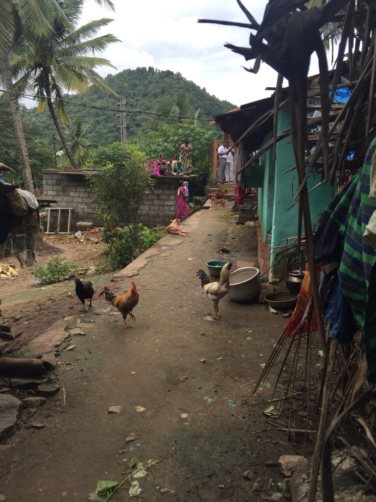 Life in a tribal village