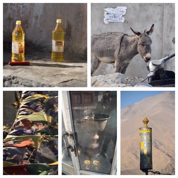 Curiosities in Ladakh