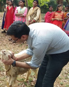 Eye check - understanding more about the health status of a goat