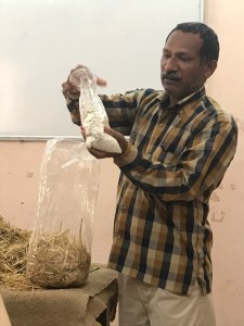 The vertical production helps SHGs