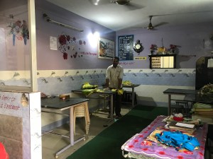 The banana leaf cutter